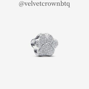 Pandora Textured Paw Mini Charm